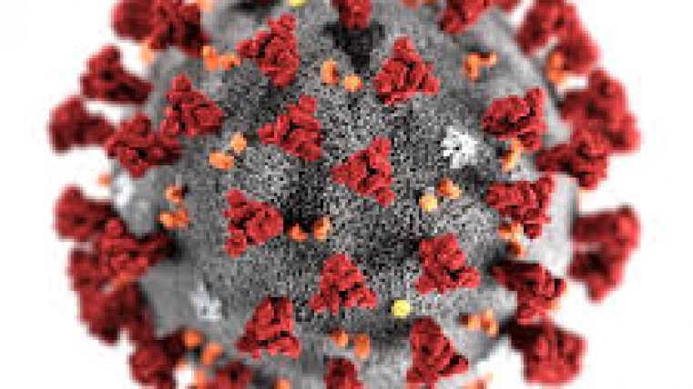 COVID-19 Coronavirus Updates