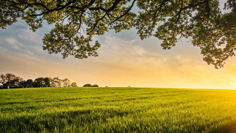 Farmland Assessment Deadline August 1st