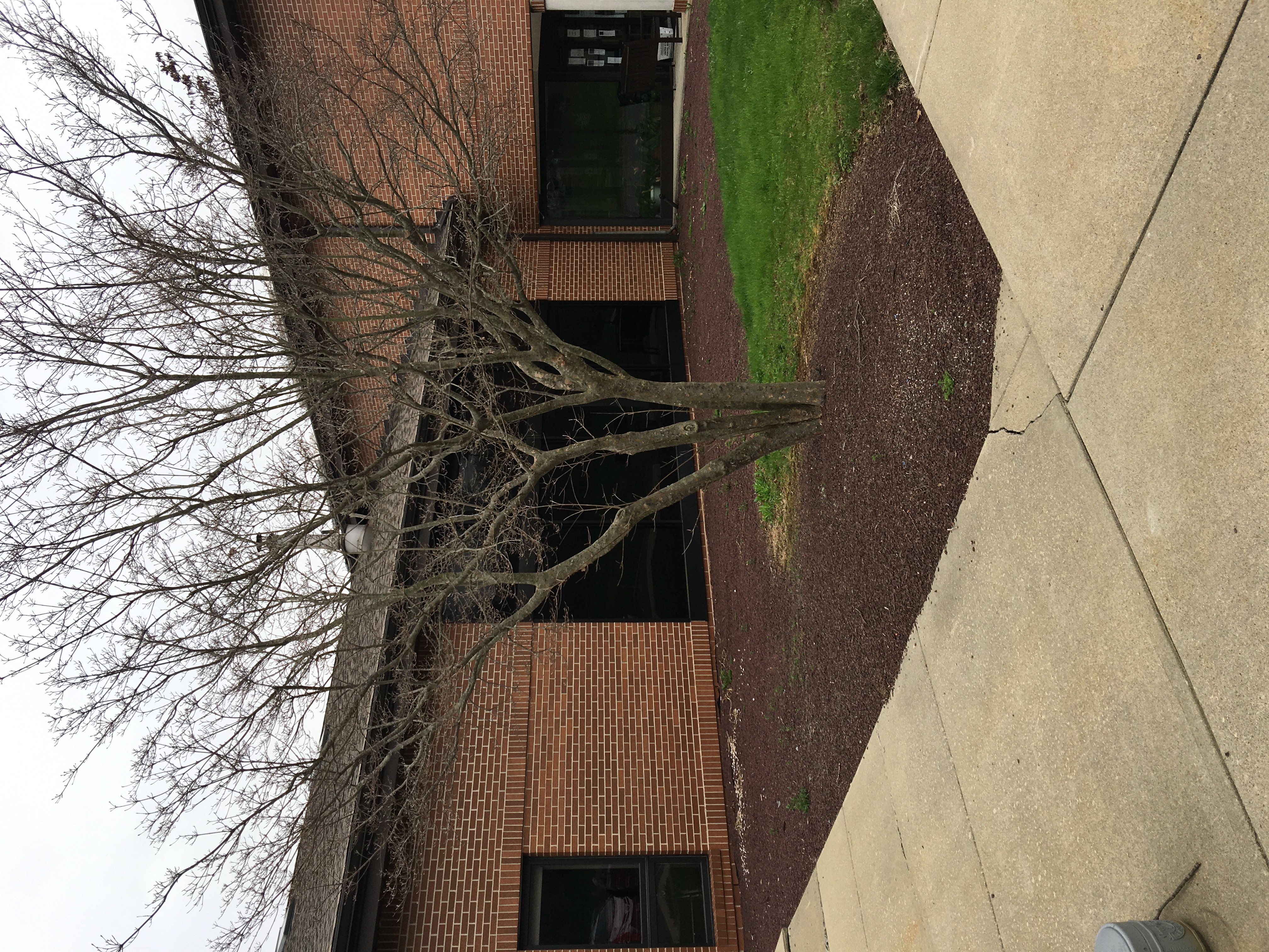 Calling All Landscapers